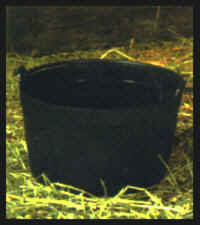 Witch's Cauldron Pails (6) - Item Number EII71850CP